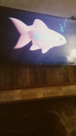 Nickelodeon DVD "Fish" (2008)