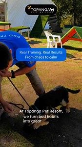 🐾 We Train Dogs of All Breeds, Ages, and Sizes! ⭐️⭐️⭐️⭐️⭐️ ✅ Private Class – $130 ✅ Group Class – $50 ✅ Bootcamp – $230 No matter how big or small, young or old, we create training programs to suit your dog’s individual needs. From playful puppies to stubborn older dogs, we offer solutions for obedience, behavior correction, and more. | Master Dog Training