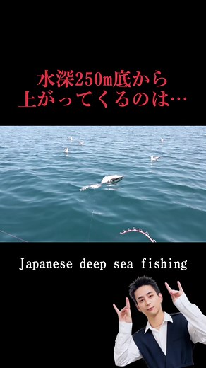 Japanese Deep Sea Fishing Experience at 250m Depth