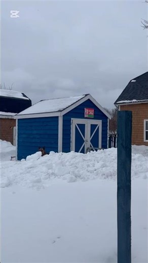 Homemade storage shed 10x10