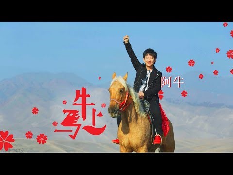 阿牛Aniu《马上牛 Ma Shang Niu》Official Music Video
