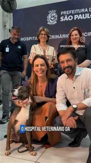 Hospital Cão Orelha?