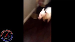 2.6M views · 10K reactions | Ao infinito e além | Memes 2020 | Facebook