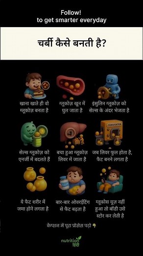 How fat is formed in the body.