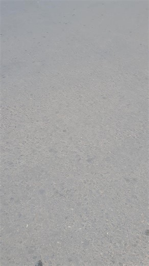 Magalaa Bishooftu: Outzone Tareek India Sarek