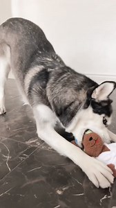 1.4K views · 17 reactions | Unboxing Woof Packs steps: 1)Use those...