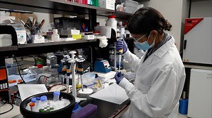 Myosin-Specific Adaptations of In vitro Fluorescence Microscopy-Based Motility Assays