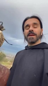 2.8K views · 118 reactions | #falcong #passeggiatewild #abruzzo #italwild wildexperience #falconry #life #falcon #giovannigranati #athenajitariuc | Falcong | Facebook