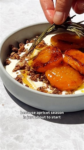My Favorite Apricot Dessert