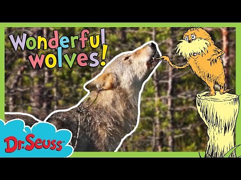 Full Episode: Meet Our Forest Animals! | The Lorax Nature Keepers Club | Dr. Seuss
