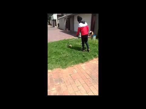 Teaching Nephew How to Use Stihl FS38 Trimmer