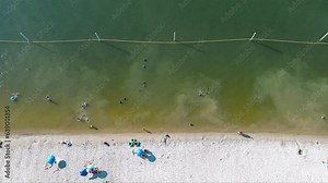 overhead aerial footage of a sandy beach along the banks of Lake Acworth with rippling green waters and people in the water and relaxing on the beach with umbrellas in Acworth Georgia USA