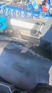 ON PORPOISE? 🐬 A placid fishing trip turned “berserk” off New Zealand men when a dolphin weighing more than 900 pounds appeared to fall out of the sky before crash-landing in a small boat! No one was badly hurt and the bottlenose dolphin was returned to the sea with help from a tractor on shore. | FOX 13 News