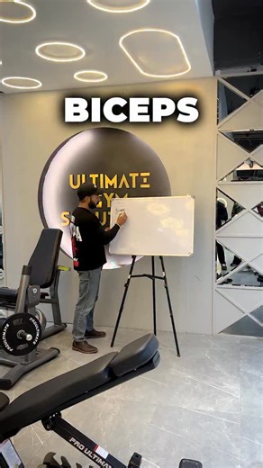 Pro Ultimate Academy on Instagram: "Everything about the biceps explained — flexion, supination, and complete muscle involvement. A detailed biceps lecture by Pro Ultimate Academy . . . . #proultimateacademy #fitnessjourney #fitnesseducation #fitnesscareer #gymlife"