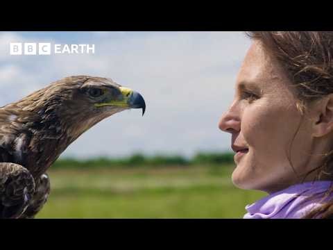 How Does UV Light Affect Vision? | BBC Earth Science
