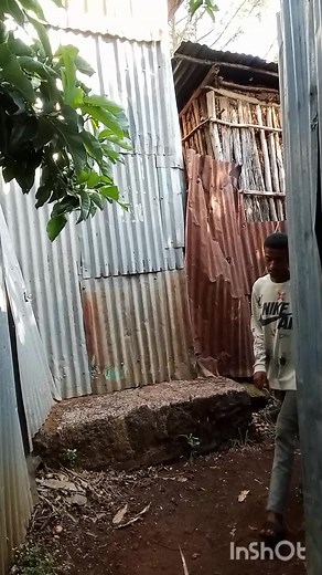 Bini bana (@bini.bana21)’s videos with original sound - Bini bana