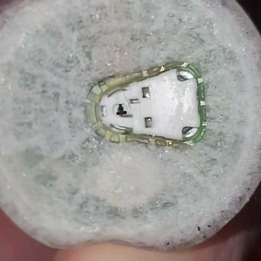 bad freestyle libre sensor. 2022 renew. get it replaced free. 373 error