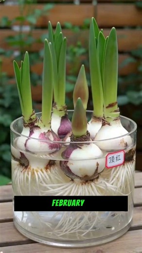 📅 Best Time to Propagate 10 Popular Plants 🌱 Save This Guide!||#gardenhacks #plantlovers