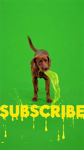 Dog Vomit Subscribe Sound Effect | Gross Funny Green Screen SFX