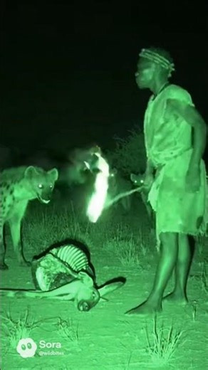 Hadzabe Hunter Confronts Hyenas at Night – Raw Infrared Wildlife Footage (AI)