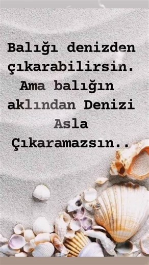 Kilipler9999 TikTok'ta