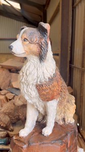Here’s a little look at my carving process - carefully pulling out the details needed to show this border collie’s sweet character #chainsawcarving #woodart #woodworking #woodwork #woodartist #doglover #petportrait #bordercollie #dogoftheday #sculptureart | James Elliott Chainsaw Sculpture