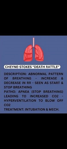 Cheyne-stokes "Death Rattle" Abnormal lung sounds
