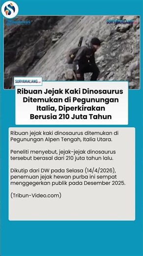HEBOH! Penemuan Megah Ribuan Jejak Dinosaurus di Italia, Diperkirakan Berusia 210 Juta Tahun
