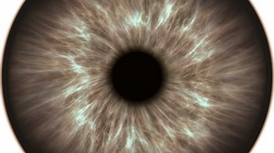 clip-1019487145-brown-human-eye-dilating-contracting-very-detailed