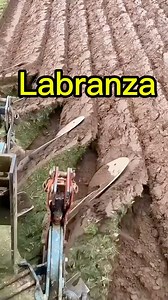 #Labranza: el arte de preparar la tierra, esencial en la #agricultura. ¡Conoce cómo se hace! #Campo #Cultivo #Agricultores #Tierra #Siembra #Trabajo | COCO LEMUS