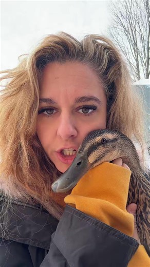 WhatchuTalkinBoutWillis (@imnotyourhoneymejojo)’s videos with original sound - Becca Lovelady