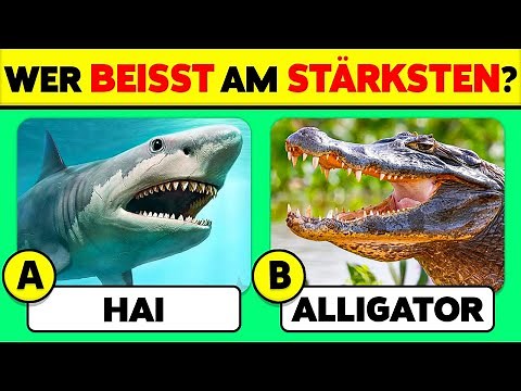 Kennst du die TIERE...? 🦁🦓✅ 50 Tiere Wissens-Quiz