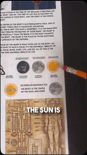 19K views · 513 reactions | Reality as you perceive it, it’s all one consciousness producing life to everything. #reality #perceive #mind #knowledge #wisdom #life #Consciousness #unlock #live #know #learn #walkinthespirit #hereiswisdom #temple #facebook #reels #stories #posts | Jason Borelli | Facebook