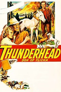 Thunderhead: Son of Flicka (1945) - Movie