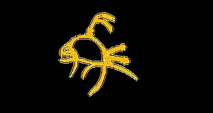 Carmarthenshire Falconry Experience