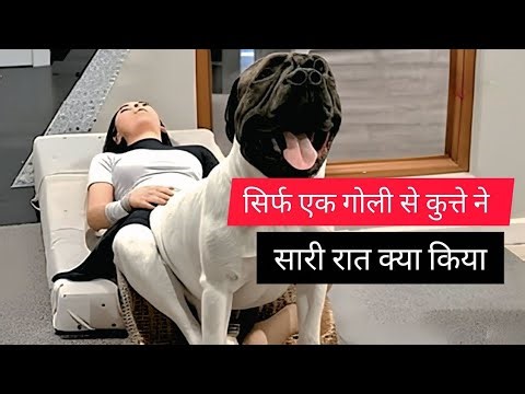 Ek Choti Si Medicine Aur Mera Dog Ban Gaya Hero 🐶 | True Emotional Dog Story in Hindi