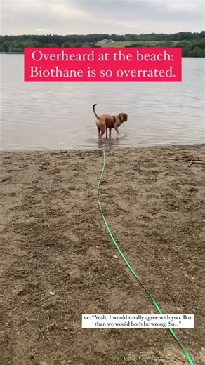 Repost from breaking down all the best parts of BioThane leashes and longlines! Fact: For years, I