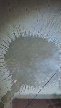 work done by Paul Heaney, distributor Brian Curtis. Sika ProSeal. Dust sealed in the floor.