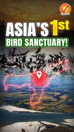 A 400-Year-Old Bird Sanctuary You’ve Never Heard Of — Majuli’s Forgotten Treasure!