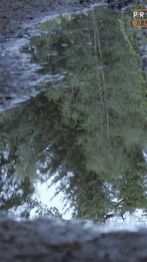 2.6K views · 21 reactions | Walking home, a sense of unease washed over me as a tall figure marched past. The heavy footsteps suddenly stopped, followed by the sound of running. I knew I was about to be attacked, and then I saw his hand raised with a dumbbell. What happened next? #TrueScaryStory #Nightmare #Attack #Terrifying #Survival | Prison Stories | Facebook