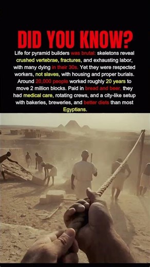 20,000 Workers Left Their Names Inside the Great Pyramid #history #archaeology #shorts