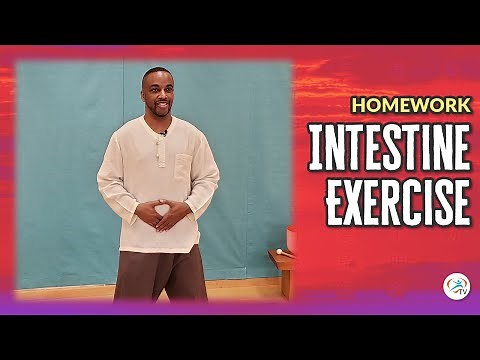 Intestine Exercise for Gut Health - 7-minute Practice | Body & Brain Homework Exercises