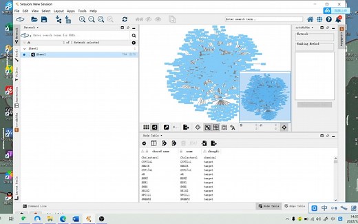 用cytoscape画成分靶点图