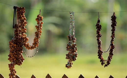 Perú reconoce la existencia de 5 pueblos indígenas aislados en la Amazonía