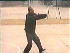 He Fusheng (9th Duan #1): Unseen Bagua Taiji Quan (八卦太极拳) archive footage