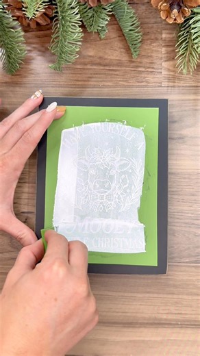 Have yourself a mooey little Christmas 🐮🎄 with the cutest cow design around! This ready-to-use, reusable Stencil makes holiday crafting simple, fun, and totally adorable. ✨ Comment CHRISTMAS to shop this design and explore so many more—there’s truly something for everyone! Whether you’re decorating your home, gifting handmade, or creating to sell, this is the perfect time to start your holiday crafting. #MagnoliaDesignCo #ChristmasCrafts #HolidayDIY #ReusableStencils #ReadyToUseStencils #CowCh