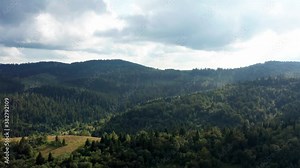 Picturesque natural landscape from a height. Aerial drone view of the mountains covered with green coniferous forests and meadows on the slopes of the hills, moving forward with tilt down technique