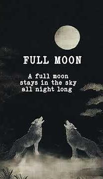 Amazing Moon Facts Time! The 8 Phases of the Moon, and More Really Cool Facts About Our Moon 🌙