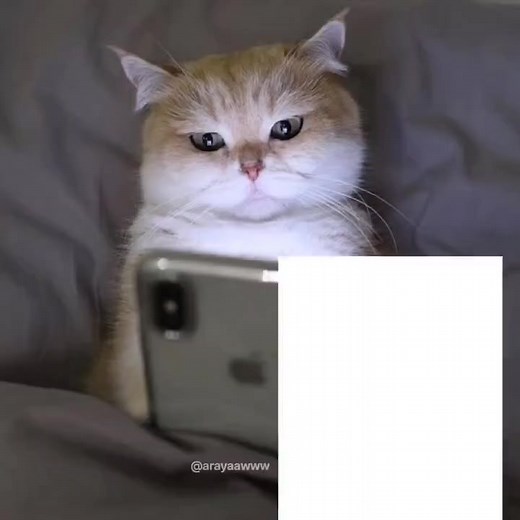 Me at 2 AM 🤣🤣🤣 | Funny memes