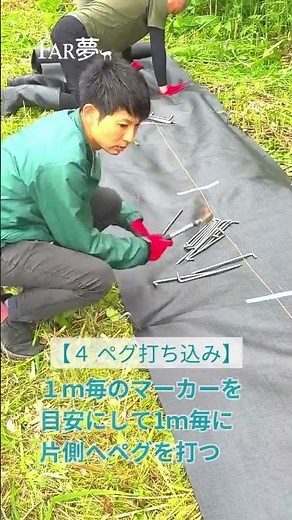 【⚒通電防草シート設置方法１】通電ヤーン入りの防草シートで、電気柵の効果を保ちつつ、下草を抑制し、漏電を防ぐ優れたシートです。 #獣害対策 #電気柵 #農業 #施工動画 #設置 #diy #野生動物